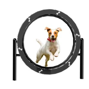 Aro Salto Gimnasia Canina